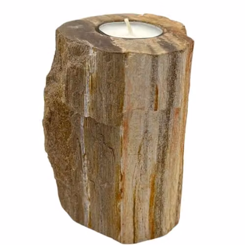 Ancient Wisdom Petrified Wood Candle Holder in Brown