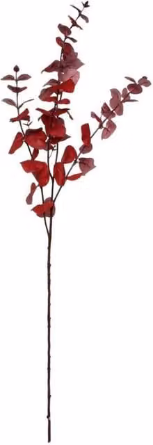 KDMD Glamis Large Red Eucalyptus Spray, Height: 108 cm