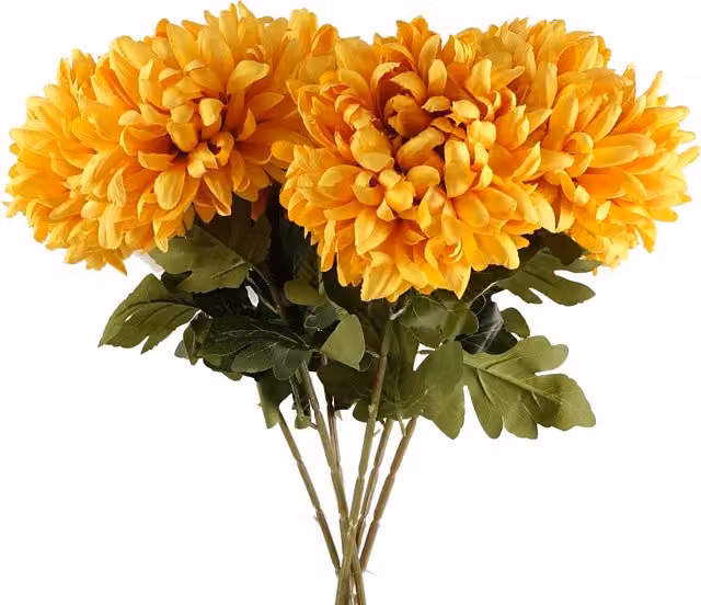 Pack of 6 Extra Large Gold and Yellow Silk Reflex Chrysanthemums