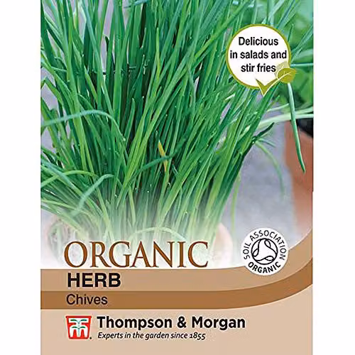 Thompson and Morgan Organic Staro Chives Herb Seeds, 350 Seeds