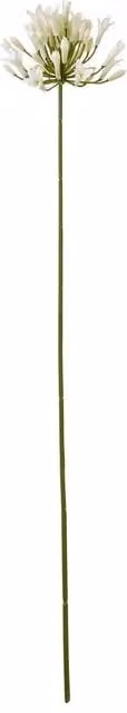 Hill Interiors Agapanthus Artificial Flower Spray in Beige and White