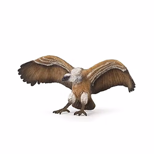 Papo Realistic Vulture Figure Toy, Brown and Multicolour, Birds Of Prey Collection, H x W x D: 6 x 13.7 x 4.6 cm