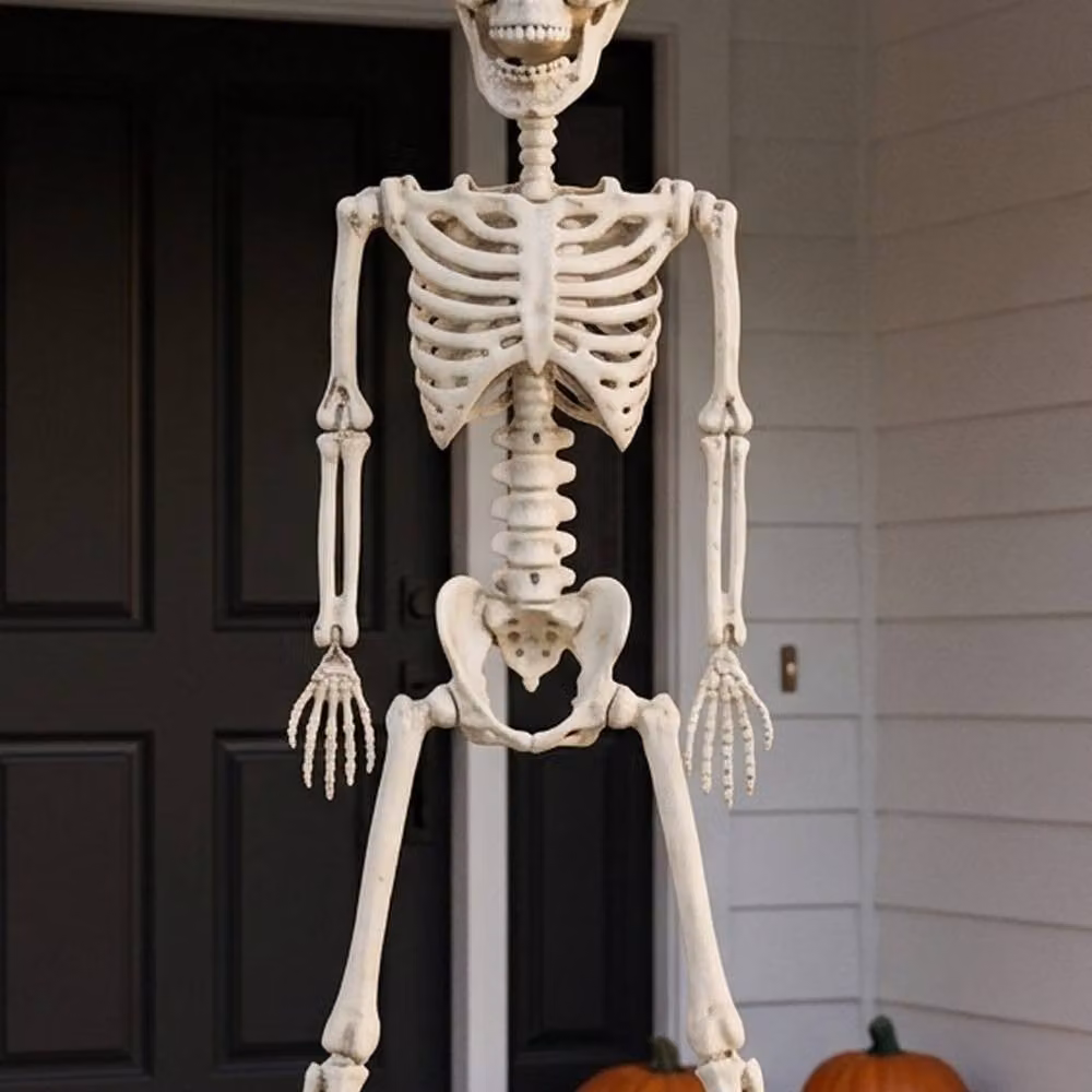 Garden Greatness Hanging Posable Halloween Skeleton Figure in White and Multicolour – 2