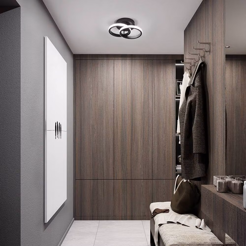 Pheashine Modern LED Ceiling Light, Black, Diameter: 25 cm, 6500K Cool White – 4