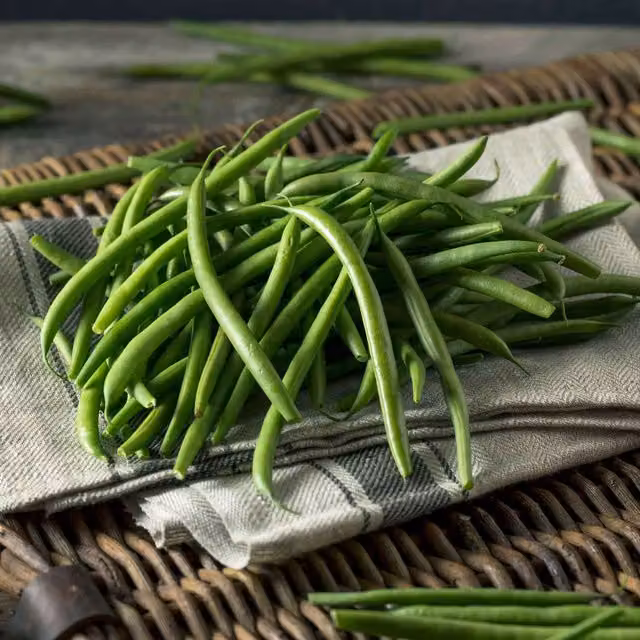 Marshalls Garden Green Climbing French Bean Vegetable Seeds, 50 Seeds