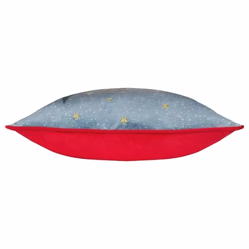 Riva Home Blue Multicolour Velvet Star Christmas Cushion, W/D/H: 45 x 45 x 45 cm – 2
