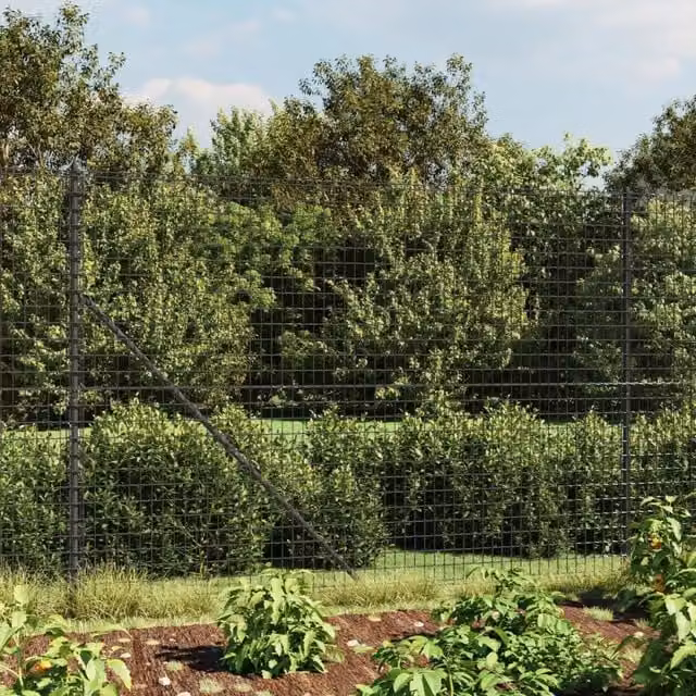 Berkfield Home PVC-Coated Steel Wire Mesh Fence with Flange, Anthracite Black, H: 160 cm x W: 25 m – 1
