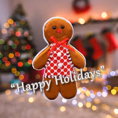 VFM e-Store Christmas Animal Hanging Decoration, Red and Multicolour Textile Pendant, W/H: 20 x 13 cm – 4