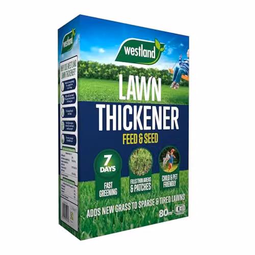 Westland Lawn Thickener and Revive Seed for 80m2 Coverage – 1
