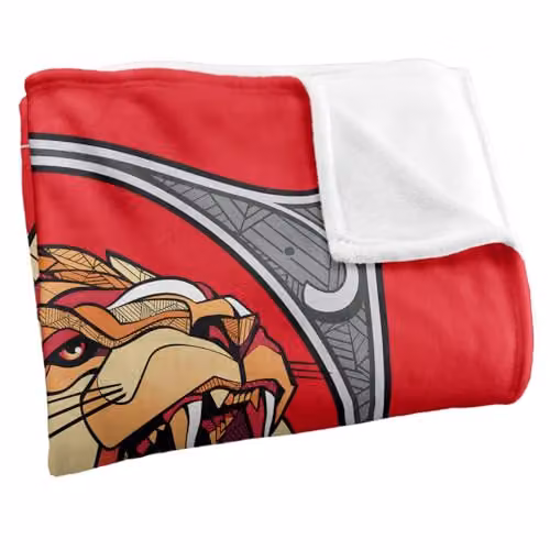 Warner Bros. Harry Potter Mosaic Gryffindor with Lion Super Soft Fleece Throw Blanket, Multicolour, W/H: 127.0 x 152.4 cm – 2