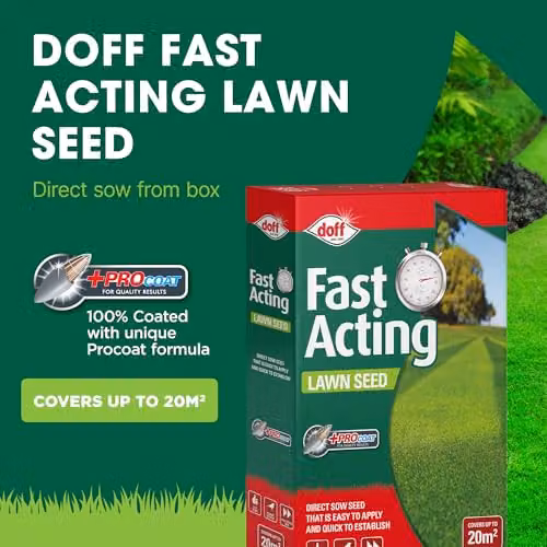 Doff Fast Growing Lawn Seed, 500g – 3