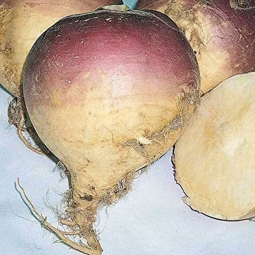 Thompson and Morgan Magres Swede Seeds, 500 Seeds per Packet