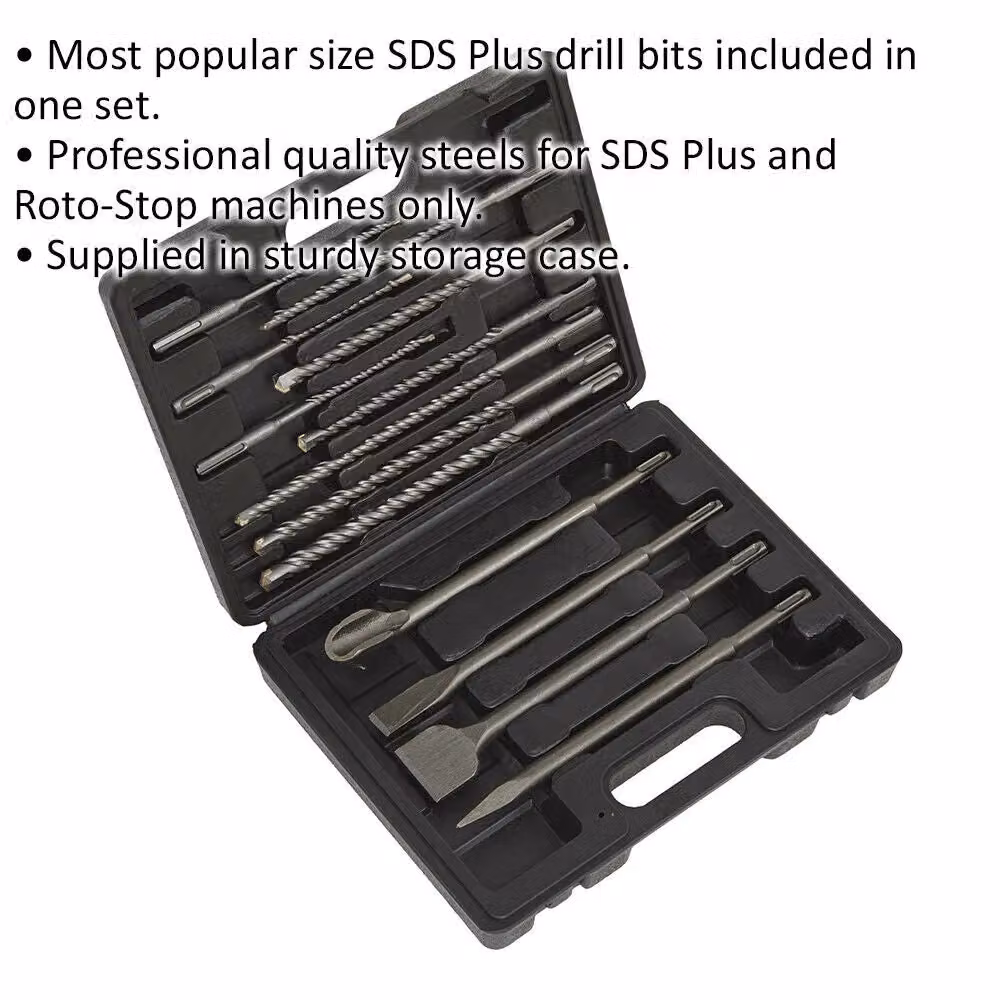 Loops 13 Piece SDS Plus Drill Bit and Flat Chisel Set in Metallics with Storage Case – 2