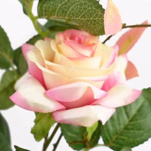 Leaf Design UK Pink Rose Artificial Potted Plant, Height: 50 cm – 4