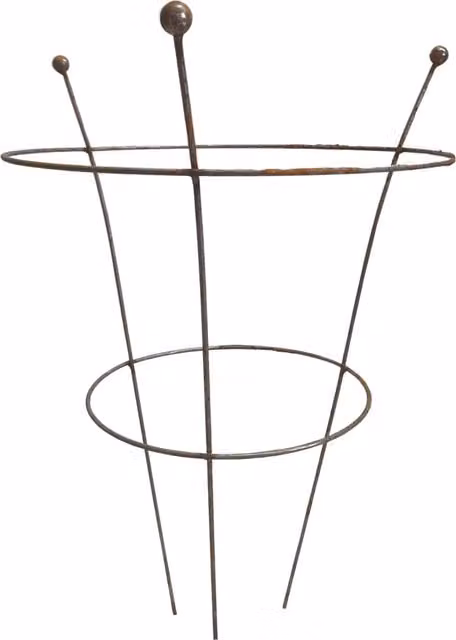 Tom Chambers Pack of 4 Bare Rusted Steel Plant Supports in Brown, W: 40 cm, H: 54 cm