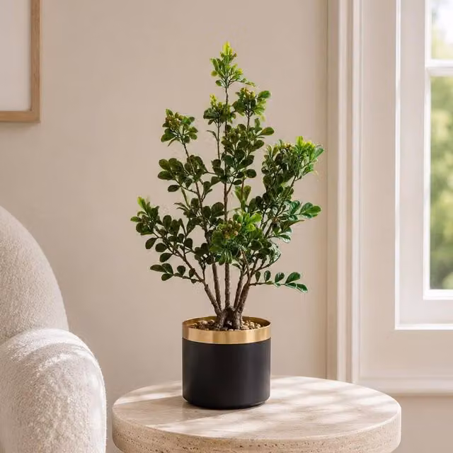 Leaf Botanik Green Artificial Bonsai Tree Height: 60 cm