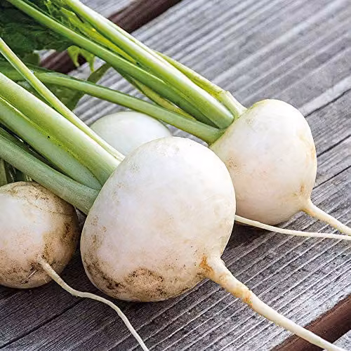 Thompson and Morgan Rapa De Lodi Turnip Seeds, White, 5000 Seeds