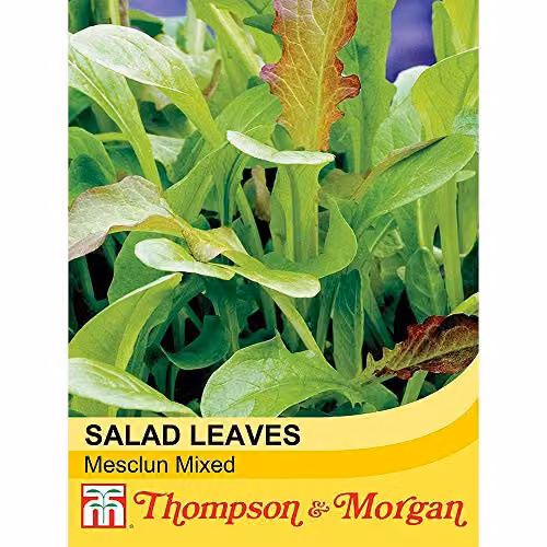 Thompson and Morgan Mesclun Mixed Lettuce Salad Leaves Seeds, 500 Seeds – 2