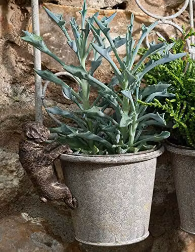 Jardinopia Pot Buddies Handmade Pug Figure Hanging Plant Pot Hanger in Bronze, L10.5 x W4.5 x H6 cm – 6