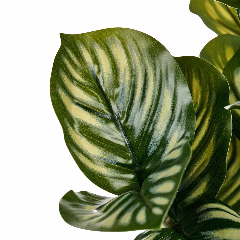 Wyld and Coco Green Realistic Artificial Potted Tabletop Plant, Height: 50 cm – 2