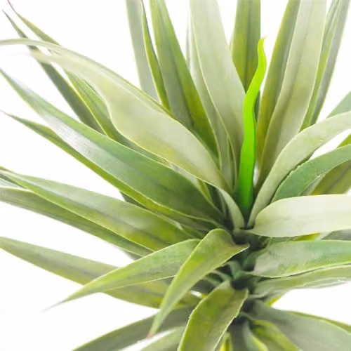 Leaf Large Artificial Green Spiky Yukka Tree Plant, Height: 90 cm – 2