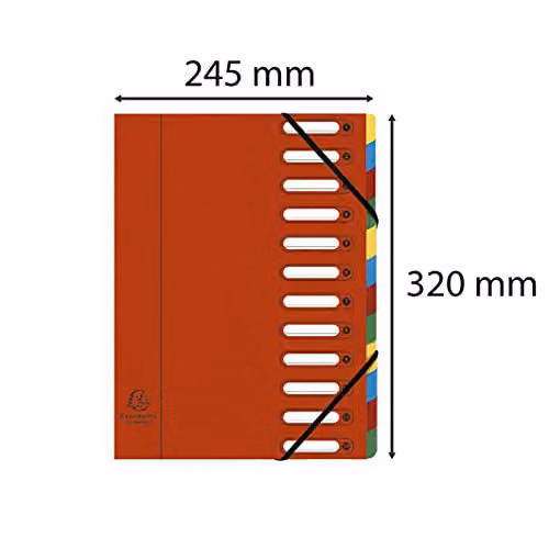 Exacompta Red Harmonika Multipart File for A4 Documents with 12 Multi-Coloured Tabbed Sections – 2