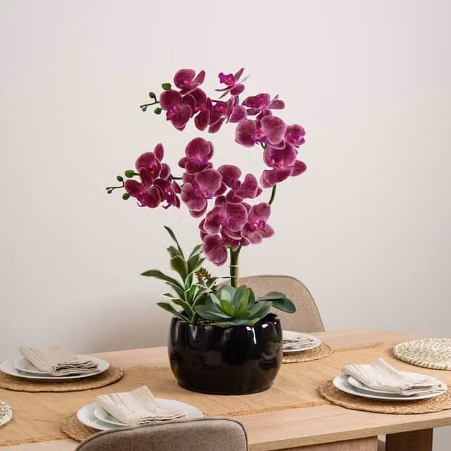 Scottish Everlastings Ltd Pink Orchid and Foliage in a Black Ceramic Pot, Height: 60 cm – 1