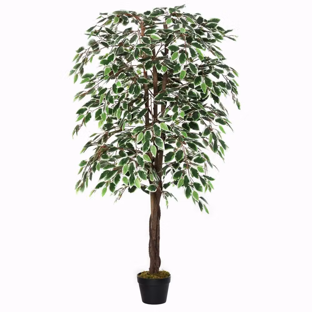Wyld Haus Keco Yona 160cm Artificial Ficus Indoor Plant in Green Decorative Pot – 2