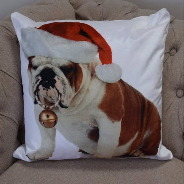 Rapport Home Velvet Square Cushion Cover, Multicolour and White, W/D/H: 43 x 43 x 43 cm
