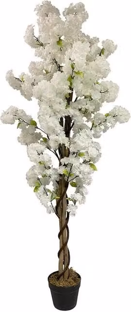 Leaf Design UK White Cherry Blossom Artificial Tree, Height: 150 cm – 1