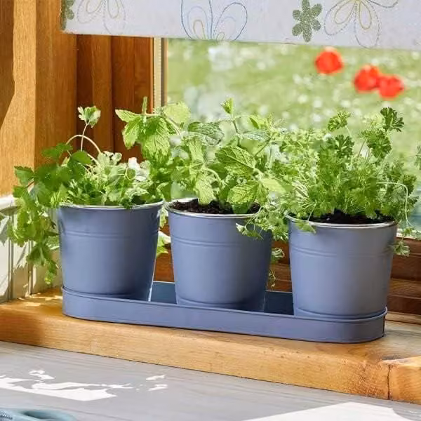 Marco Paul 3-Piece Metal Herb Plant Pots in Grey – 1