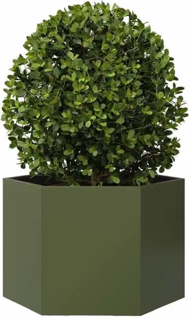 Berkfield Home Durable Steel Hexagon Garden Planter, Green, W: 69 cm, D: 60 cm, H: 45 cm – 1