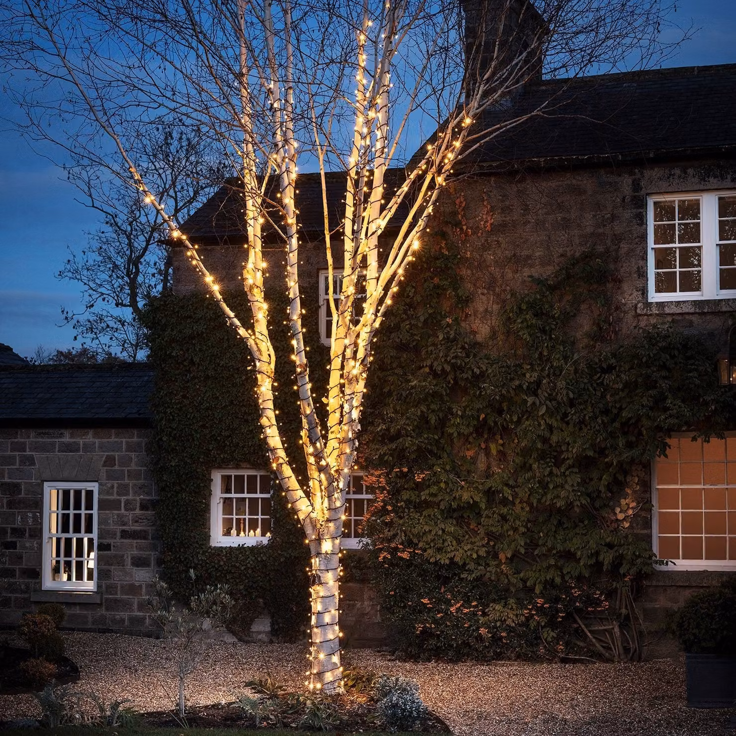 Pro Connect Warm White LED Connectable String Lights with Black Cable
