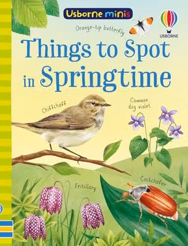 Things to Spot in Springtime by Lara Bryan, Usborne Minis Paperback Book, Multicolour