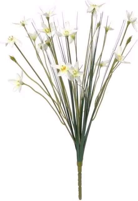 KDMD Zephyranthes Candida White and Green Floral Bush, 3 Pack