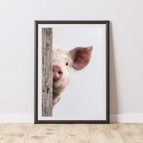 60 Second Makeover Peeking Pig Animal Print Wall Art Poster, Multicolour and Pink, A3