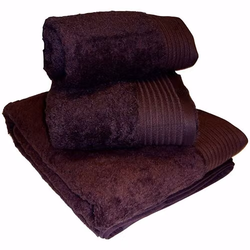 TJ Hughes Luxury Egyptian Cotton Terry Hand Towel in Purple