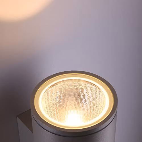 Netlighting Forlight Orion LED Outdoor Surface Mounted Wall Light in Grey with Warm White Downlight IP54 – 4