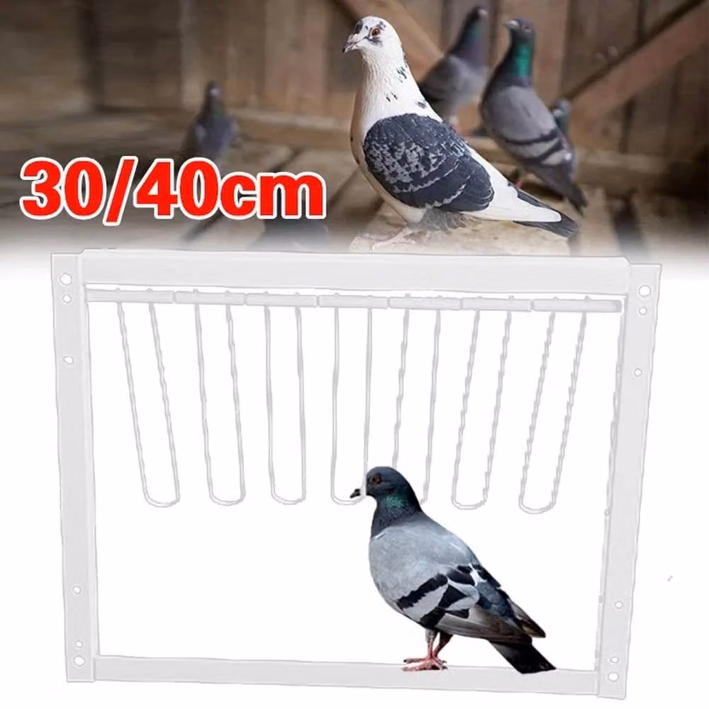 KORVIXA Removable Pigeon Loft Entrance Trap Door in Silver, W/H: 52 x 5.2 cm – 4