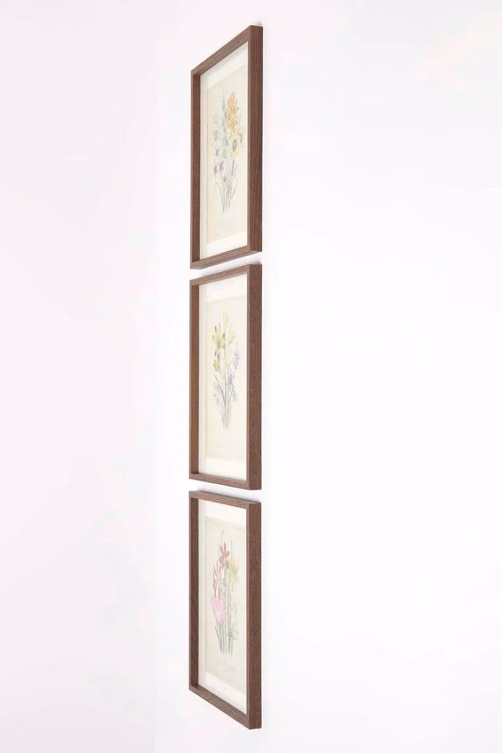 Homescapes Floral Wall Art Set of 3 Framed Botanical Prints, W/H: 30 x 40 cm, Multicolour Yellow Tones – 1