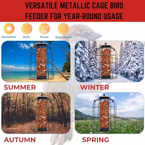 Samuel ALEXANDER Pack of 12 Black Metal Wild Bird Hanging Nut Feeders with Squirrel Guard – 10