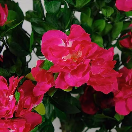 Leaf Design UK 100cm Pink Azalea Artificial Potted Plant with Gold Planter – 2