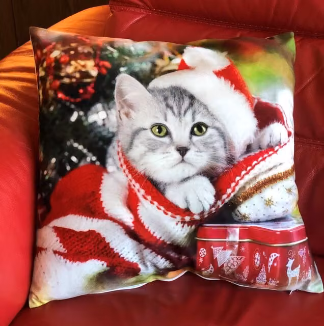 Luxury Living Red Christmas Cat Velvet Decorative Cushion Cover, W/D/H: 45 x 45 x 0 cm
