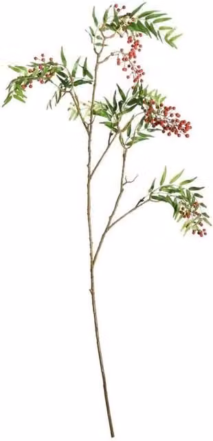 KDMD Red Botanica Berry Branch, Height: 126 cm