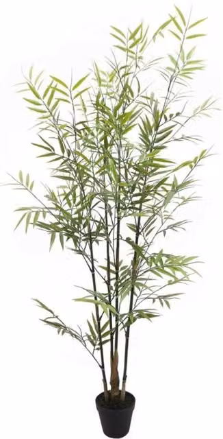 KDMD UV Botanica Green Bamboo Plant in a Wood-Effect Pot