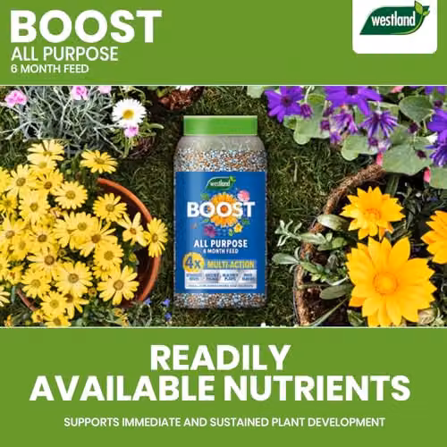 Westland Boost All Purpose Slow Release Plant Food, 750g – 4