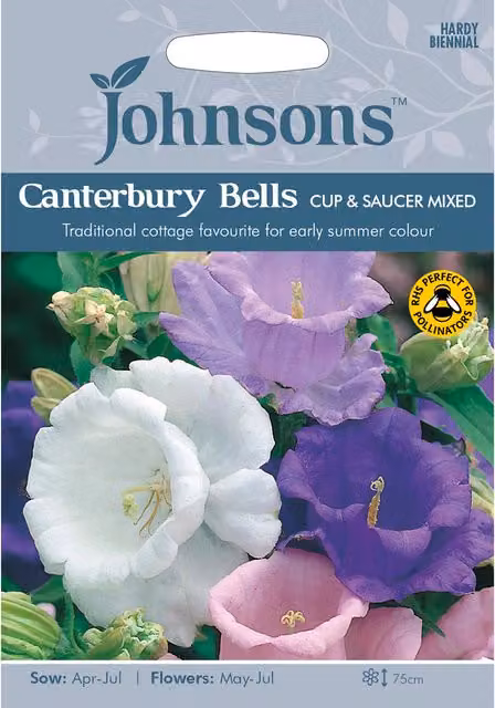 Johnsons Mixed Canterbury Bells Flower Seeds, Multicolour Ornamental Spring and Summer Seeds