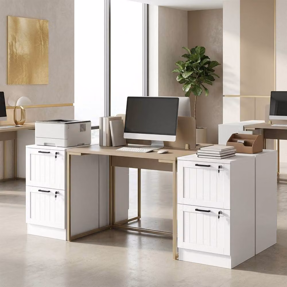 STILVORA White Matt Filing Cabinet with 2 Lockable Drawers – 6