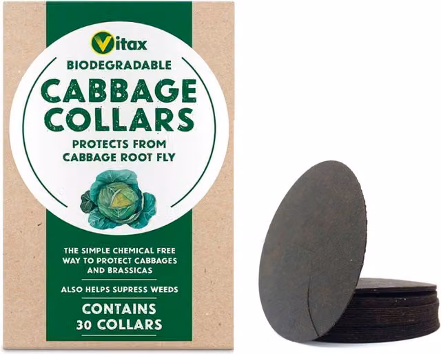 Vitax 30 Biodegradable Black Cabbage Collars for Vegetable Garden Pest Control