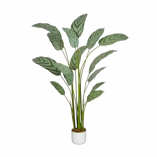 mcc direct Artificial Bird of Paradise Tree, Green, Height: 140 cm